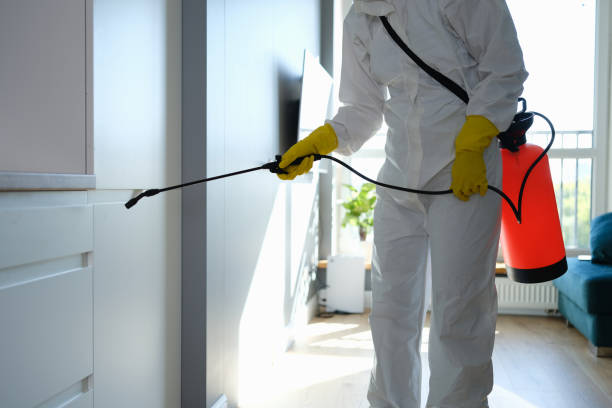 Best Toxic Mold Removal  in Lexington, NC