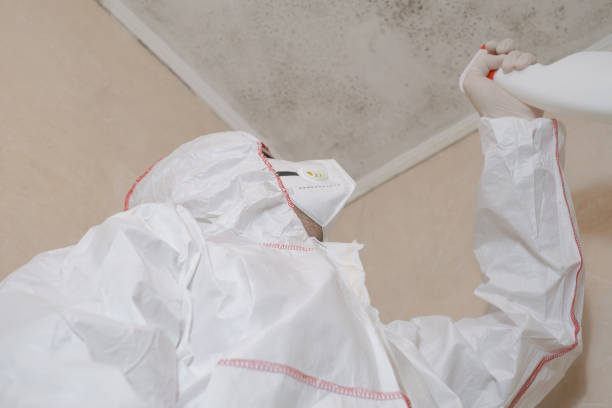 Office Mold Removal Services in Lexington, NC